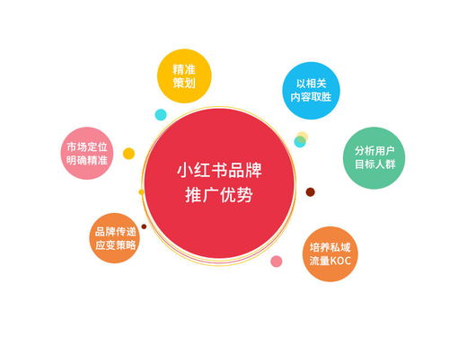 互鼎科技小紅書推廣實戰(zhàn) 品牌口碑提升300%的技術(shù)推廣策略